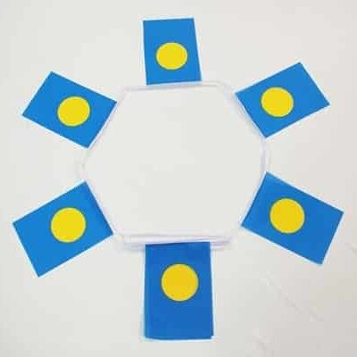 6m 20 flag Palau bunting