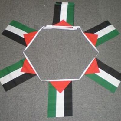 6m 20 flag Palestine bunting
