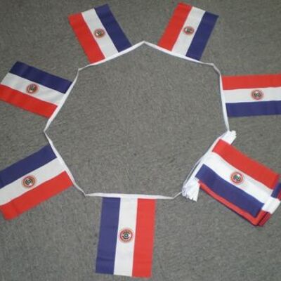 6m 20 flag Paraguay bunting