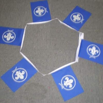 6m 20 flag Scout Blue bunting