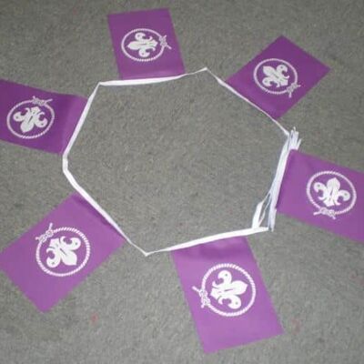 6m 20 flag Scout Purple bunting