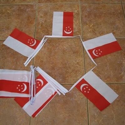 6m 20 flag Singapore bunting