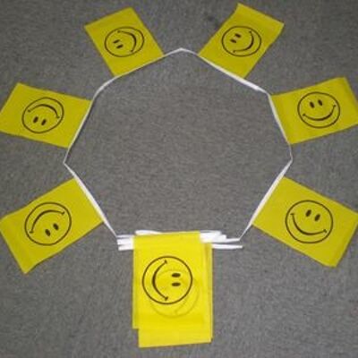 6m 20 flag Smiley Face bunting