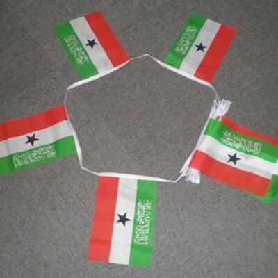 6m 20 flag Somaliland bunting