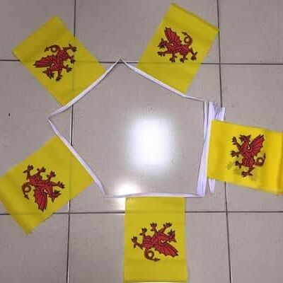 6m 20 flag Somerset New bunting