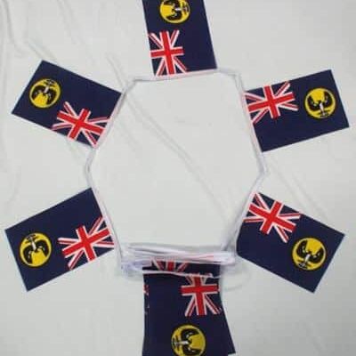 6m 20 flag South Australia bunting