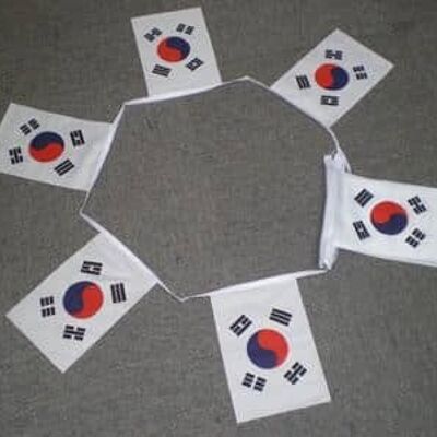 6m 20 flag South Korea bunting