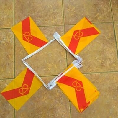 6m 20 flag Staffordshire bunting