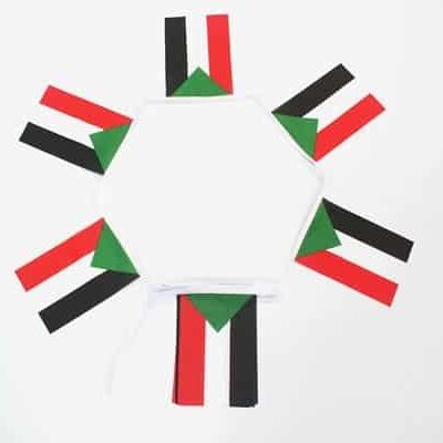 6m 20 flag Sudan bunting