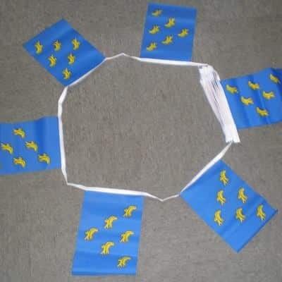 6m 20 flag Sussex bunting