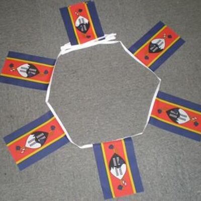 6m 20 flag Swaziland bunting