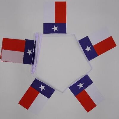 6m 20 flag Texas bunting