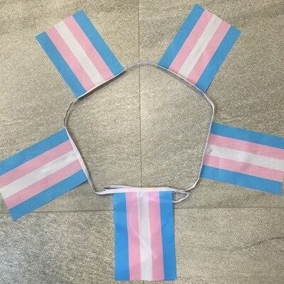 6m 20 flag Transgender (Monica Helms - gay pride) bunting