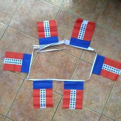 6m 20 flag Tuamotu bunting