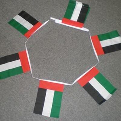 6m 20 flag United Arab Emirates (UAE) bunting