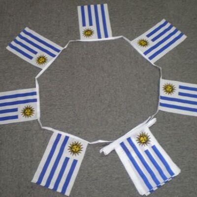 6m 20 flag Uruguay bunting