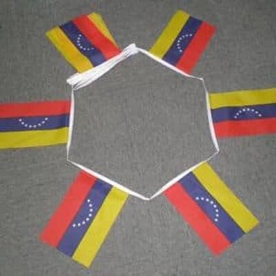 6m 20 flag Venezuela 8 stars bunting