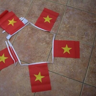 6m 20 flag Vietnam bunting