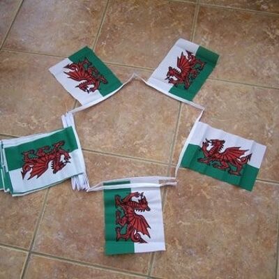 6m 20 flag Welsh Dragon Bunting (Wales)