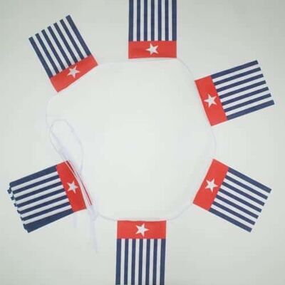 6m 20 flag West Papua bunting