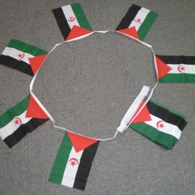 6m 20 flag Western Sahara bunting