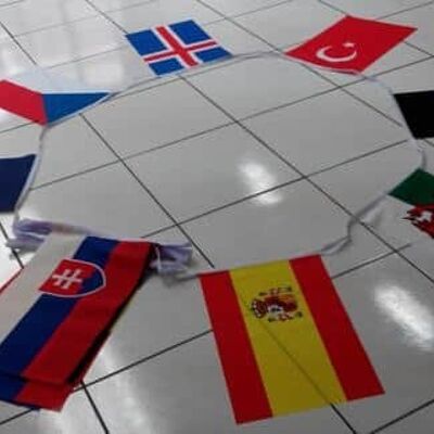 8m 24 flag 6"x9" assorted Euro Nations bunting