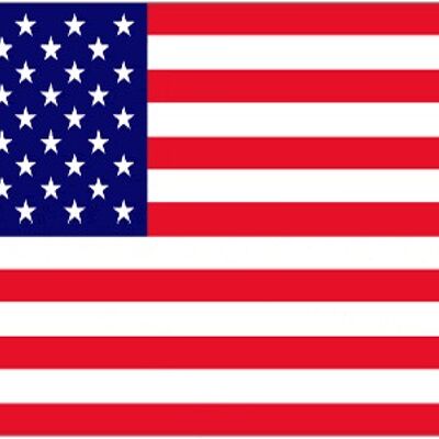 USA Car Flag