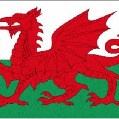 Welsh Dragon Car Flag (Wales)