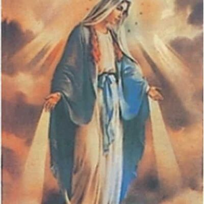 Virgin Mary Shiny 2.4 x 3.4'