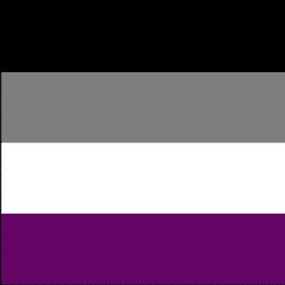 Asexual (Gay Pride) 3'x2'