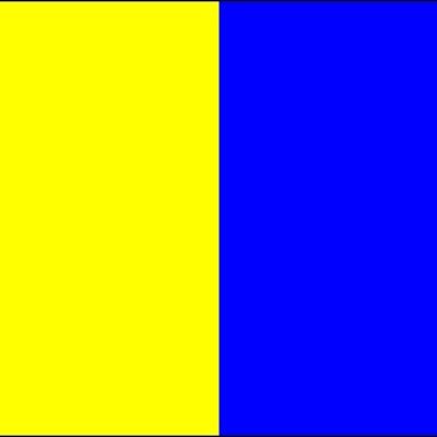 Blue/Yellow Vertical Stripe