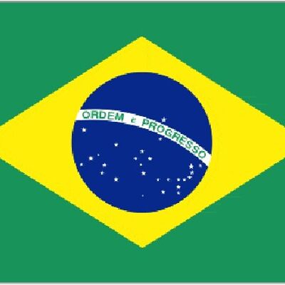 Brazil 3' x 2'