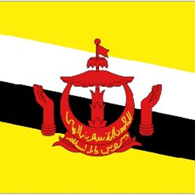Brunei 3' x 2'