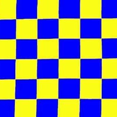 Checkered Royal Blue/Yellow (Surrey)