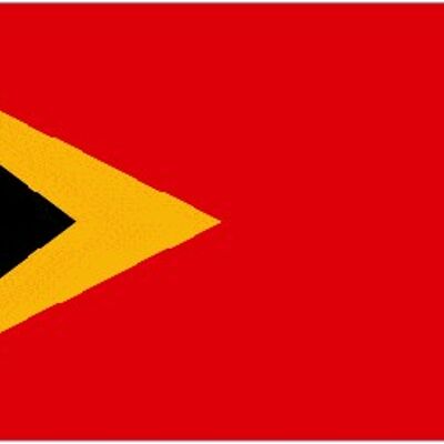 East Timor 3' x 2'