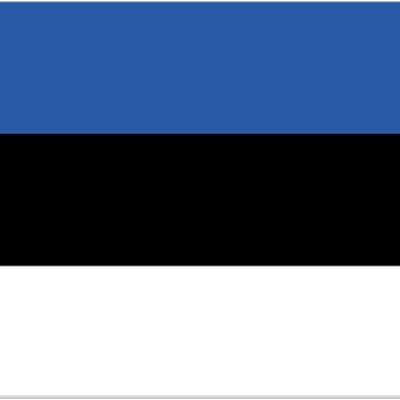 Estonia 3' x 2'