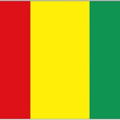 Guinea 3' x 2'