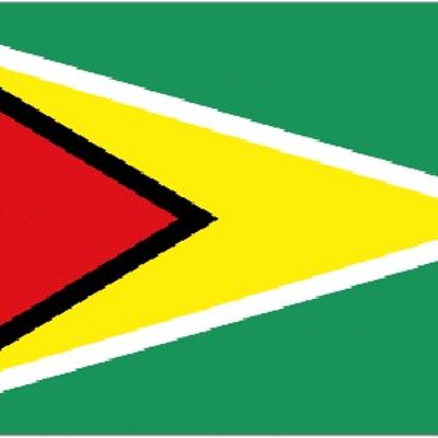 Guyana 3' x 2'