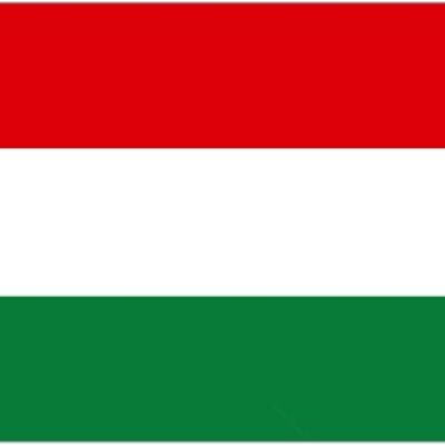 Hungary 3' x 2'