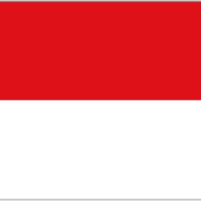 Indonesia 3' x 2'