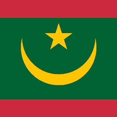 Mauritania new 3'x2'