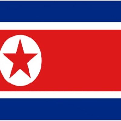 North Korea 3' x 2'