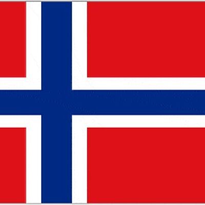 Norway 3' x 2'