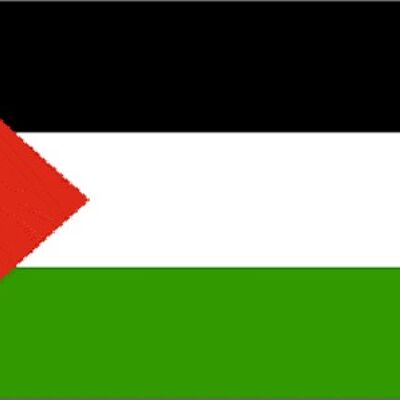 Palestine 3' x 2'