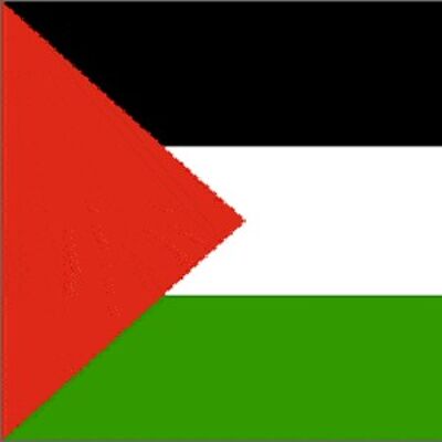 Palestine 3' x 2'