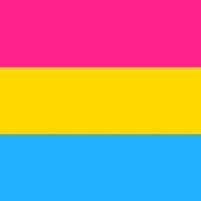 Pansexual (Gay Pride) 3'x2'