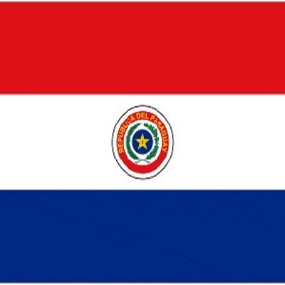 Paraguay 3' x 2'