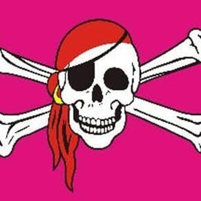 Pink Skull and Crossbones 3'x2'