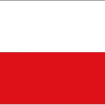 Poland 3' x 2'