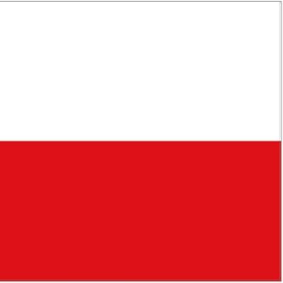 Poland 3' x 2'
